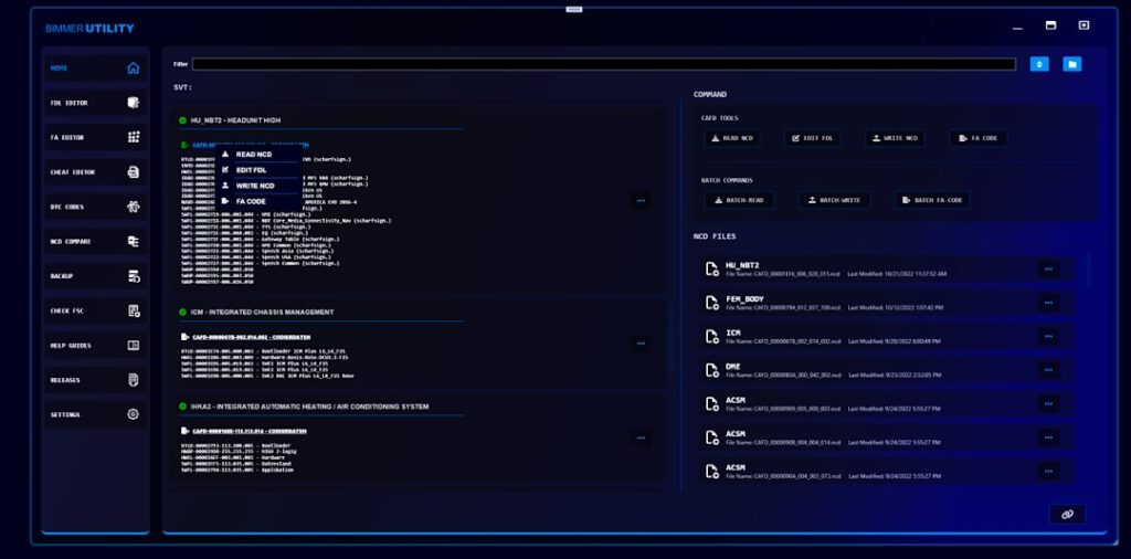 BMW Codieren Software - BimmerUtility in Action